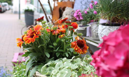  Tisch- & Raumfloristik 